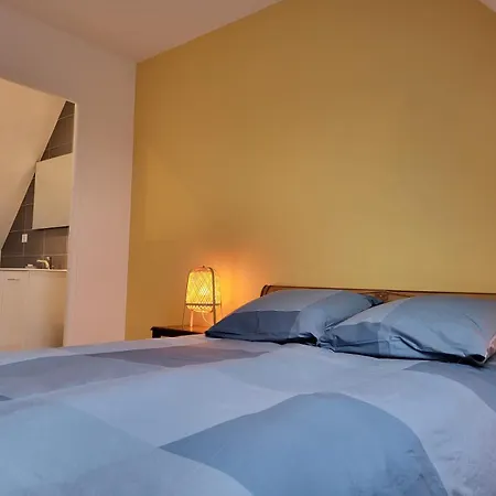 Ciel - 1-8 Pers, Au Calme, A 20 Mins Du Puy-de-dome, Vulcania Et Le Volcan De Lemptegy *