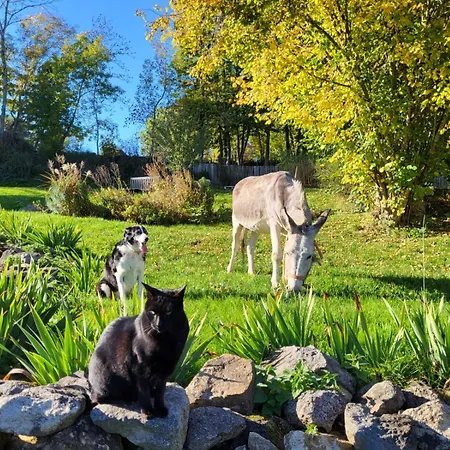 Дом отдыха Ciel - 1-8 Pers, Au Calme, A 20 Mins Du Puy-de-dome, Vulcania Et Le Volcan De Lemptegy Gelles