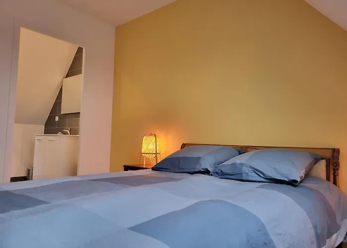 Ciel - 1-8 Pers, Au Calme, A 20 Mins Du Puy-de-dome, Vulcania Et Le Volcan De Lemptegy *