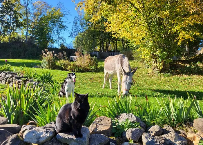 Дом отдыха Ciel - 1-8 Pers, Au Calme, A 20 Mins Du Puy-de-dome, Vulcania Et Le Volcan De Lemptegy Gelles