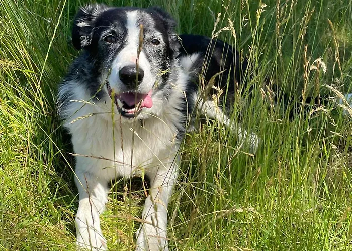 Ciel - 1-8 Pers, Au Calme, A 20 Mins Du Puy-de-dome, Vulcania Et Le Volcan De Lemptegy *