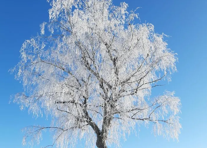 Дом отдыха Ciel - 1-8 Pers, Au Calme, A 20 Mins Du Puy-de-dome, Vulcania Et Le Volcan De Lemptegy *